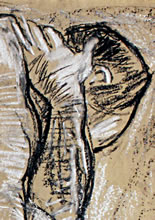 Man with Bent Knew - Detail of Hand on Head