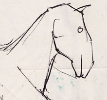 Tom Mallon: Horse Profiles, Ballpen on Paper, Horse Head