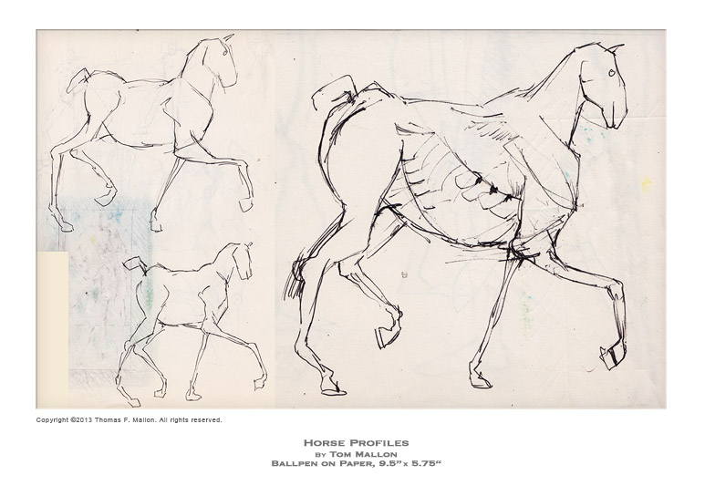 Tom Mallon: Horse Profiles, Ballpen on Paper