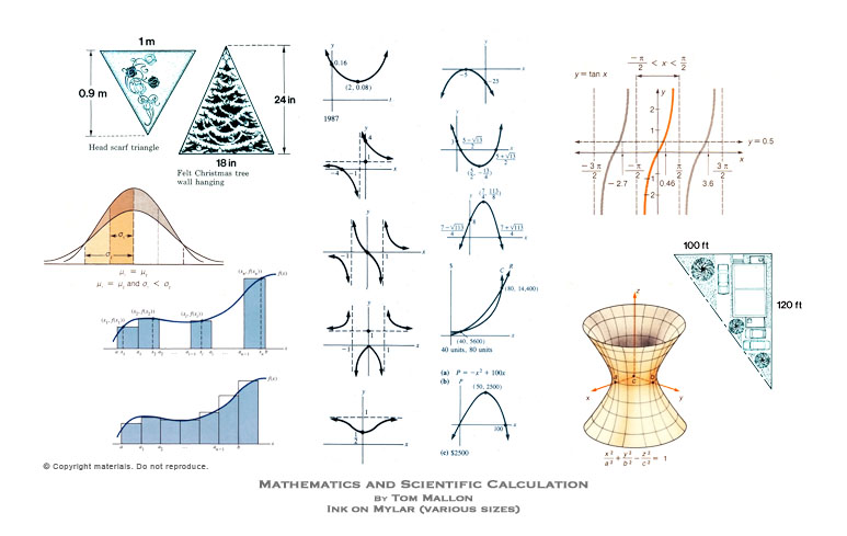 Mathematics and Scientific Calculation by Tom Mallon - Ink on Mylar