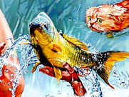 T. Mallon: Oil on Wood Panel - Fish Out of Water - 47.5 inches
